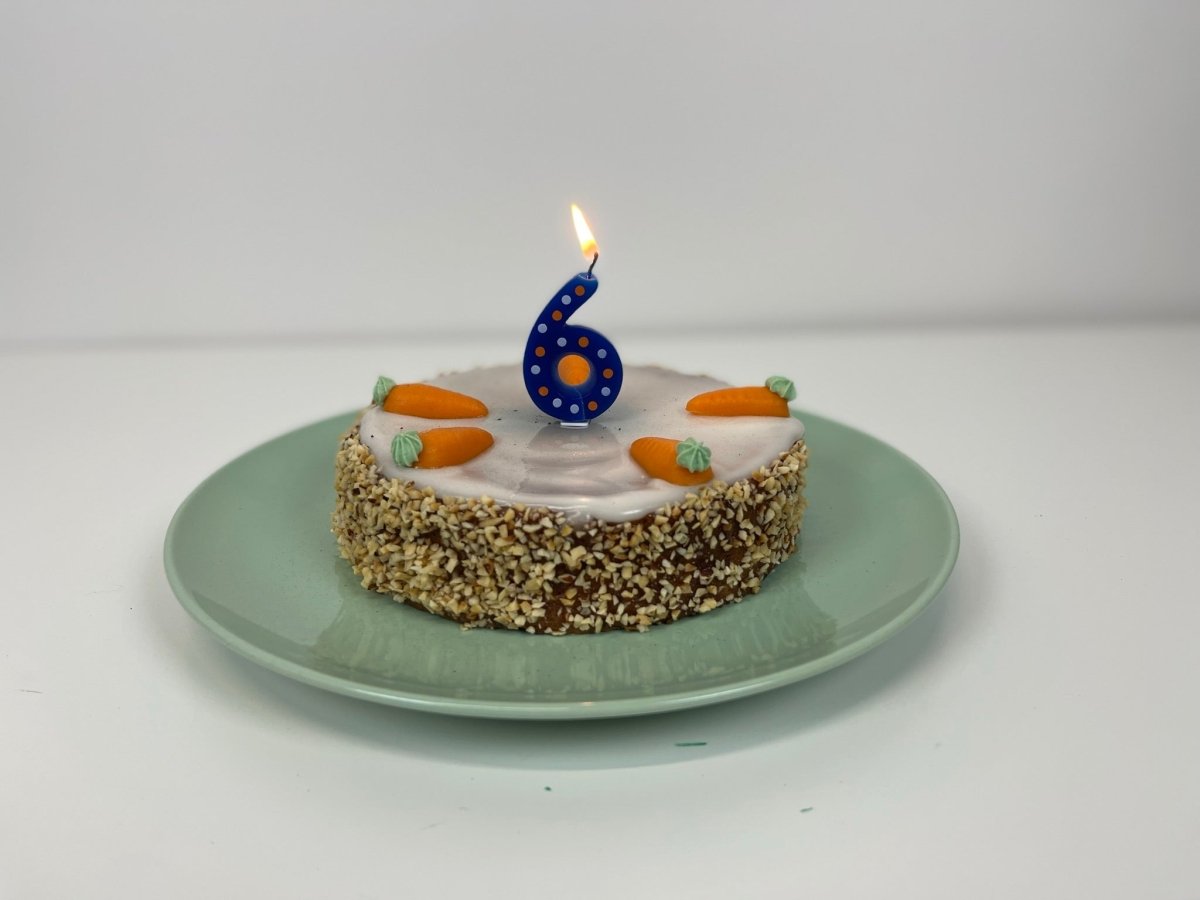 6 Jahre NIKIN – das war ein Jahr! - NIKIN CH