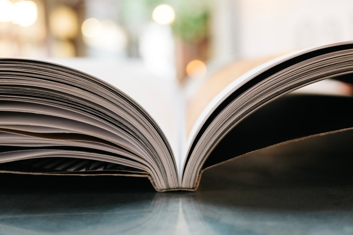 Die besten Bücher zum Thema Nachhaltigkeit - NIKIN CH
