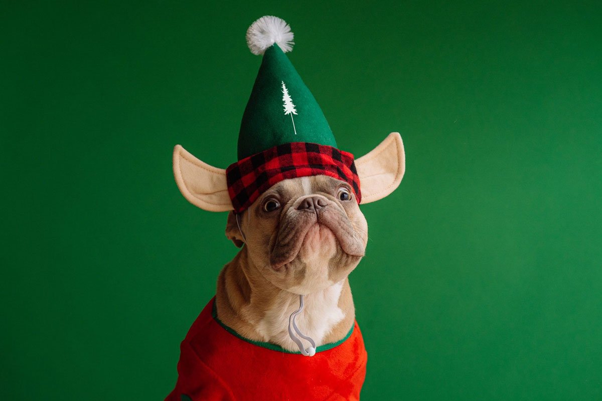 Diese Weihnachtslieder und Christmas Songs wecken Vorfreude! - NIKIN CH