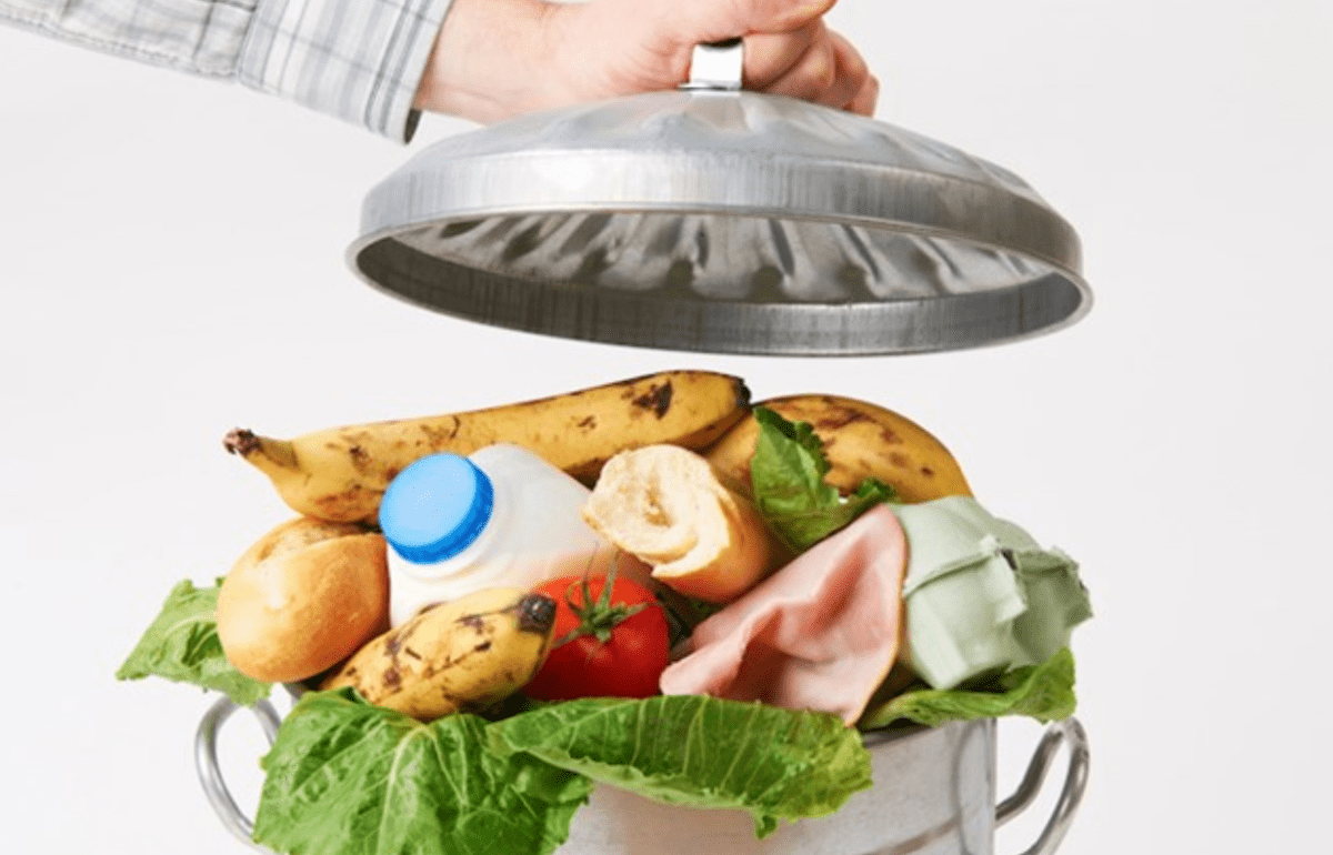 Food Waste – die globale Lebensmittelverschwendung stoppen! - NIKIN CH