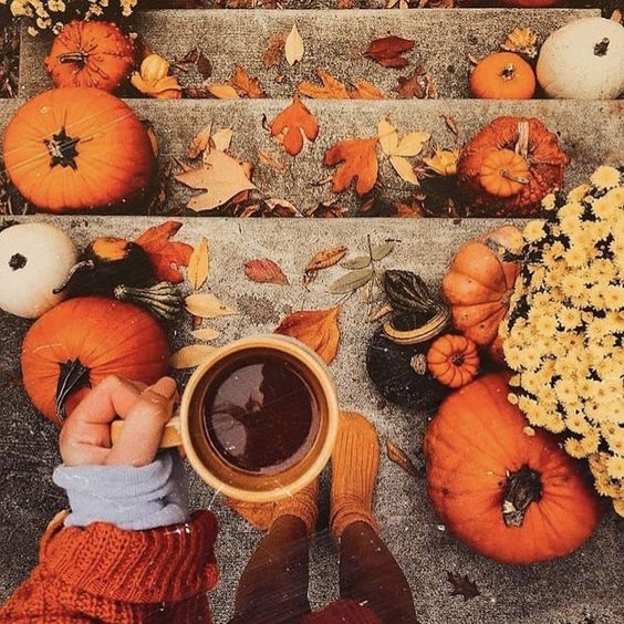 Ideen für den Herbst: Wie dein Zuhause so richtig gemütlich wird - NIKIN CH