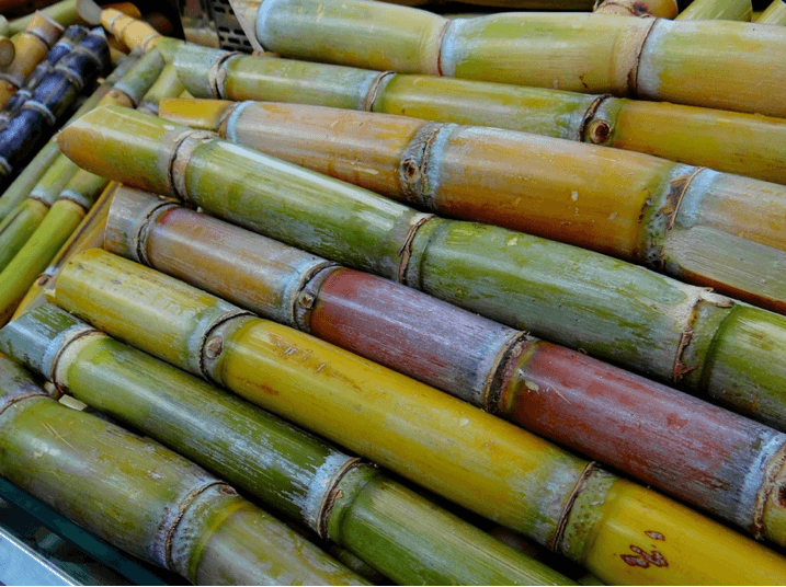Papier aus Zuckerrohr – garantiert baumfrei! - NIKIN CH