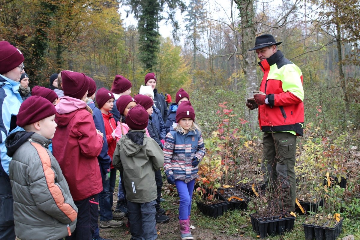 TreePlantingDays für Klein und Gross – melde dich jetzt an! - NIKIN CH
