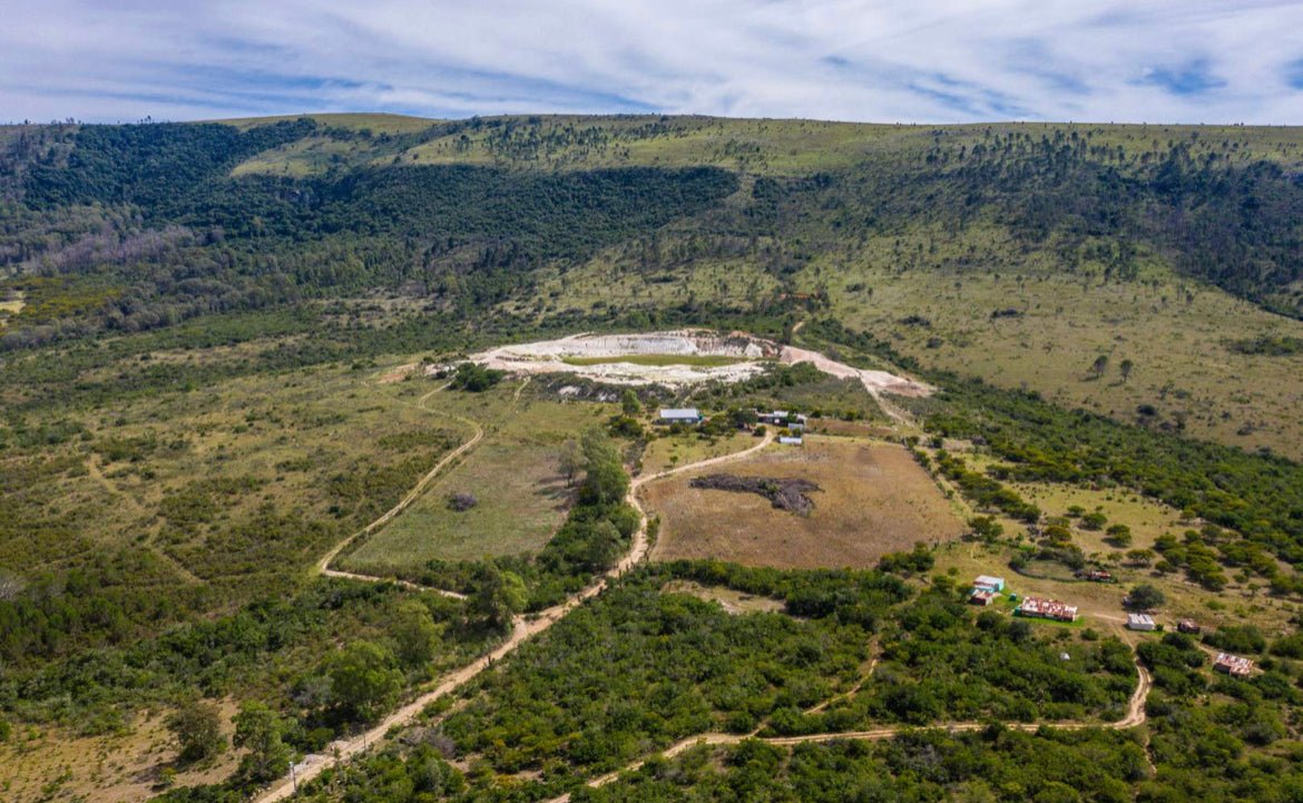 Unser Baumpflanzprojekt im Oktober: Südafrika - NIKIN CH