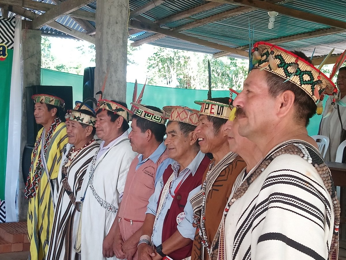Unser Baumpflanzprojekt in Peru - NIKIN CH