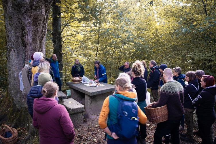 AW25_Pilzexkursion_RG_Wald-Community-Ruedi_5.jpg__PID:55668c97-aaf6-43f0-93f1-f454e1f399dd