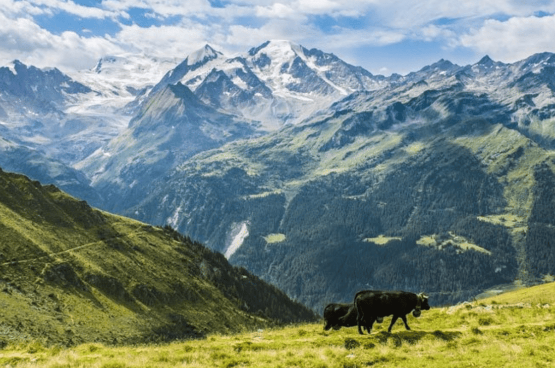 1. August – wir feiern Heldinnen und Helden der Schweizer Geschichte - NIKIN CH