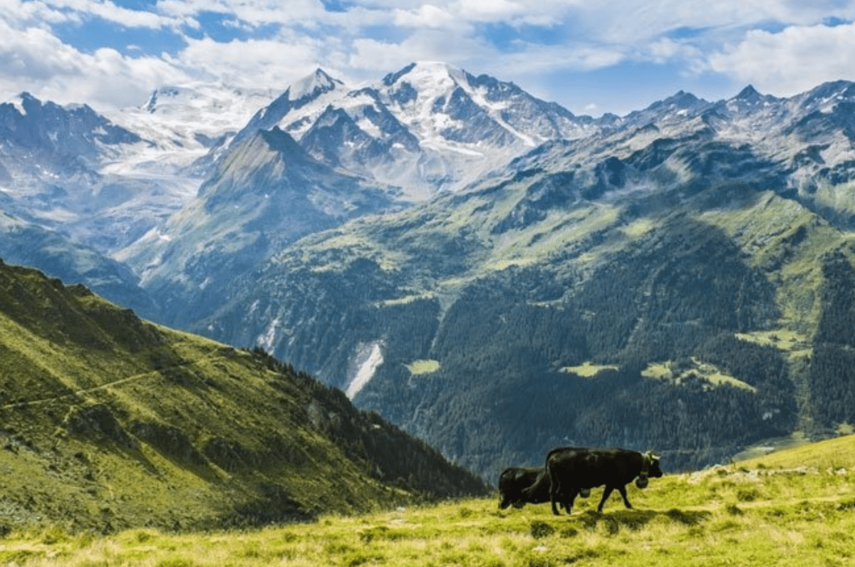 1. August – wir feiern Heldinnen und Helden der Schweizer Geschichte - NIKIN CH