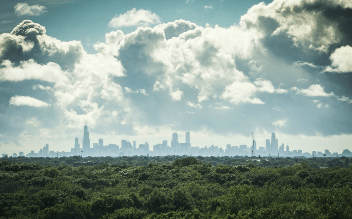 Das Projekt Cities4Forests - NIKIN CH