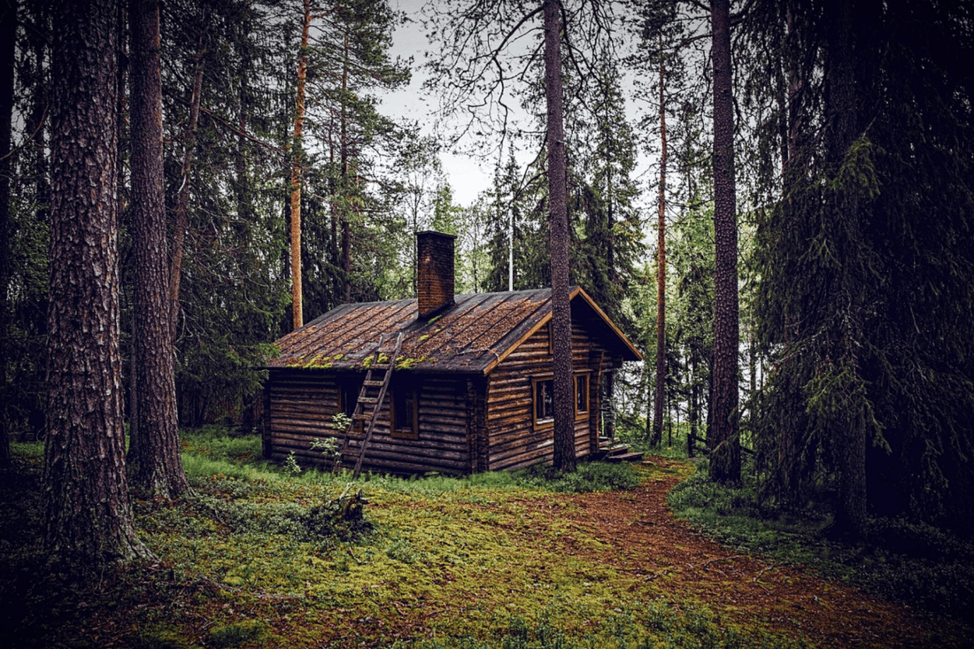 Menschen, die im Wald leben – moderne Einsiedler und Aussteiger - NIKIN CH