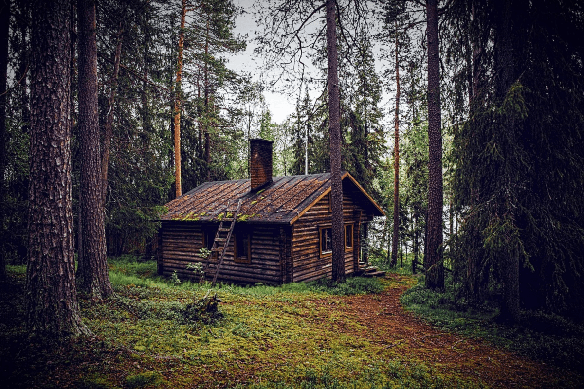 Menschen, die im Wald leben – moderne Einsiedler und Aussteiger - NIKIN CH