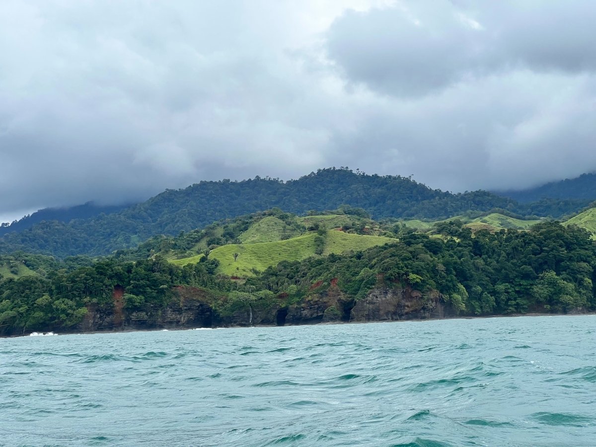 Unser Baumpflanzprojekt im August: Panama - NIKIN CH