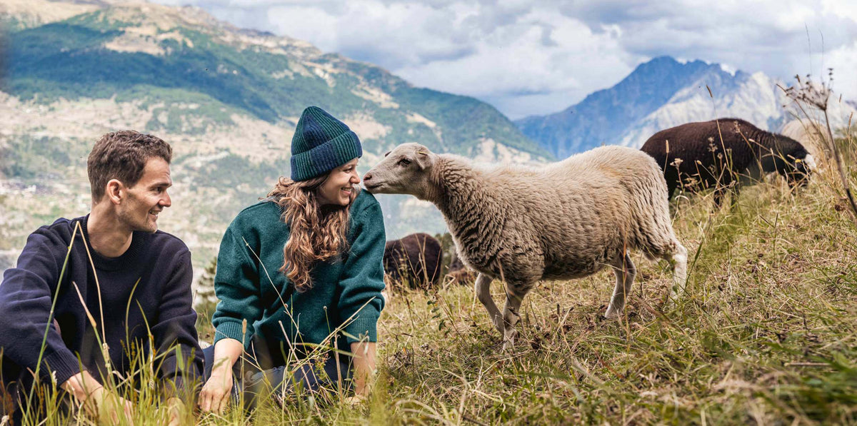 Merino & Wolle Damen