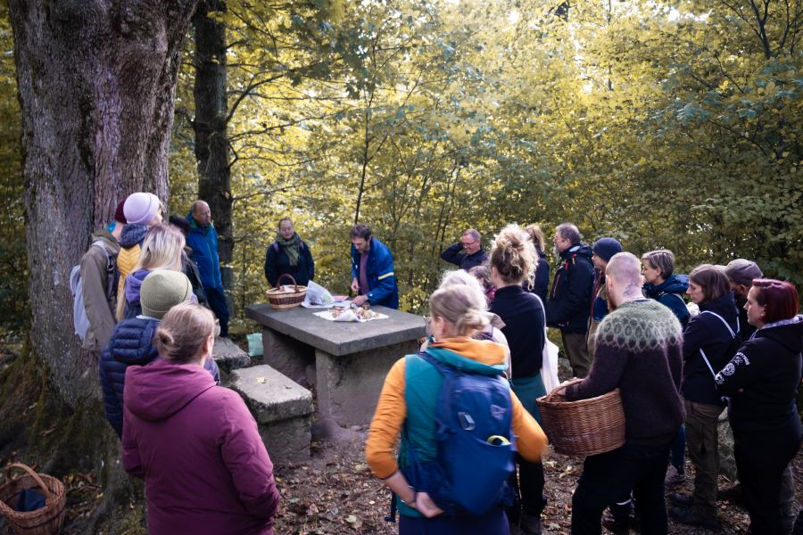 AW25_Pilzexkursion_RG_Wald-Community-Ruedi_5.jpg__PID:55668c97-aaf6-43f0-93f1-f454e1f399dd