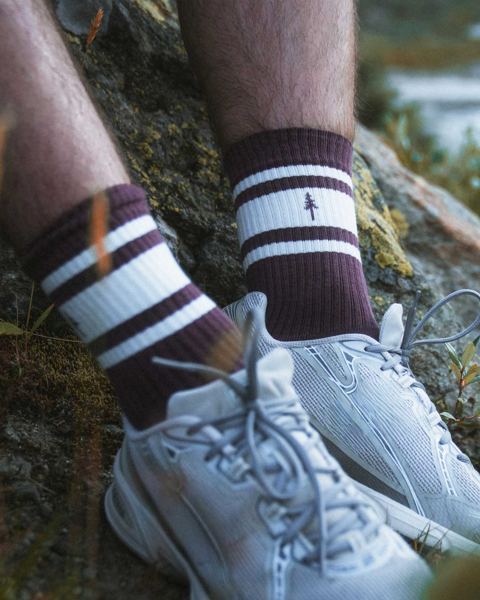 TreeSocks Ribbed Striped 2-Pack Cocoa-Off White