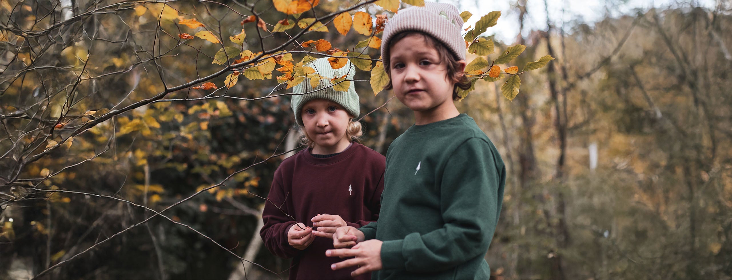 kinder-sweater banner_image